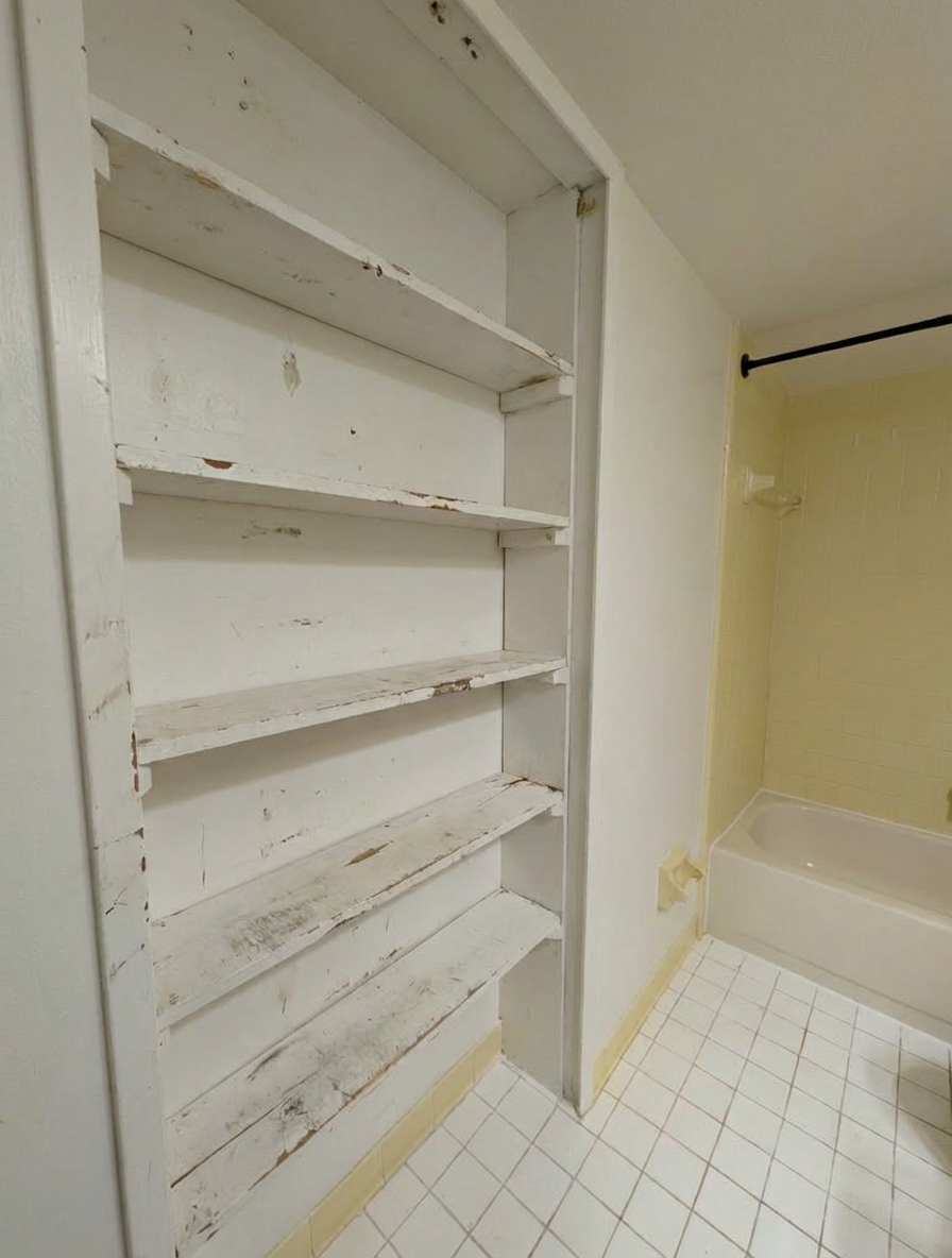 Shelves before